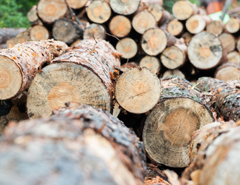 Holz Weihnachtsmarkthütten